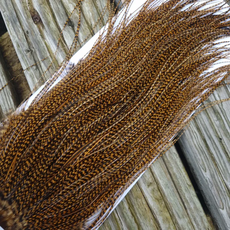 Whiting Pro-Grade Midge Rooster Saddle in Grizzly Dyed March Brown A Approx Tying Sizes 14/16/18/20/22 /24 and out of sight-3