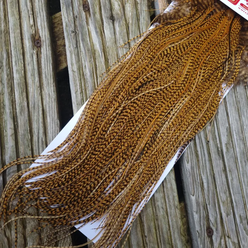 Whiting Pro-Grade Midge Rooster Saddle in Grizzly Dyed March Brown B Grizzly March Brown/Splashed with Badger March Brown Approx Tying Sizes  14 16 18 20 you might find a few smaller-6