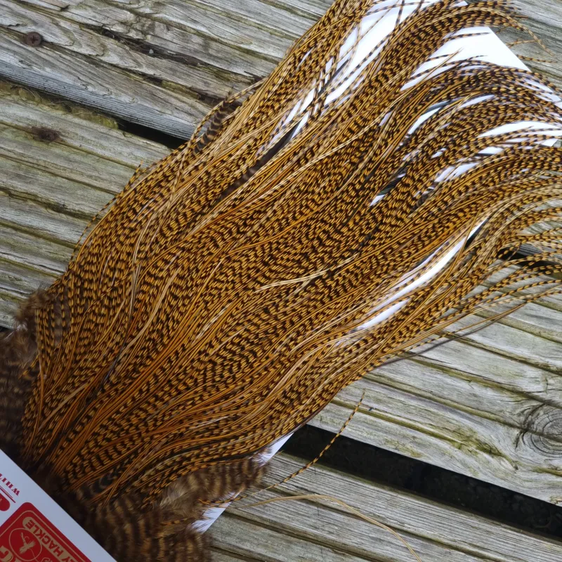 Whiting Pro-Grade Midge Rooster Saddle in Grizzly Dyed March Brown B Grizzly March Brown/Splashed with Badger March Brown Approx Tying Sizes  14 16 18 20 you might find a few smaller-4
