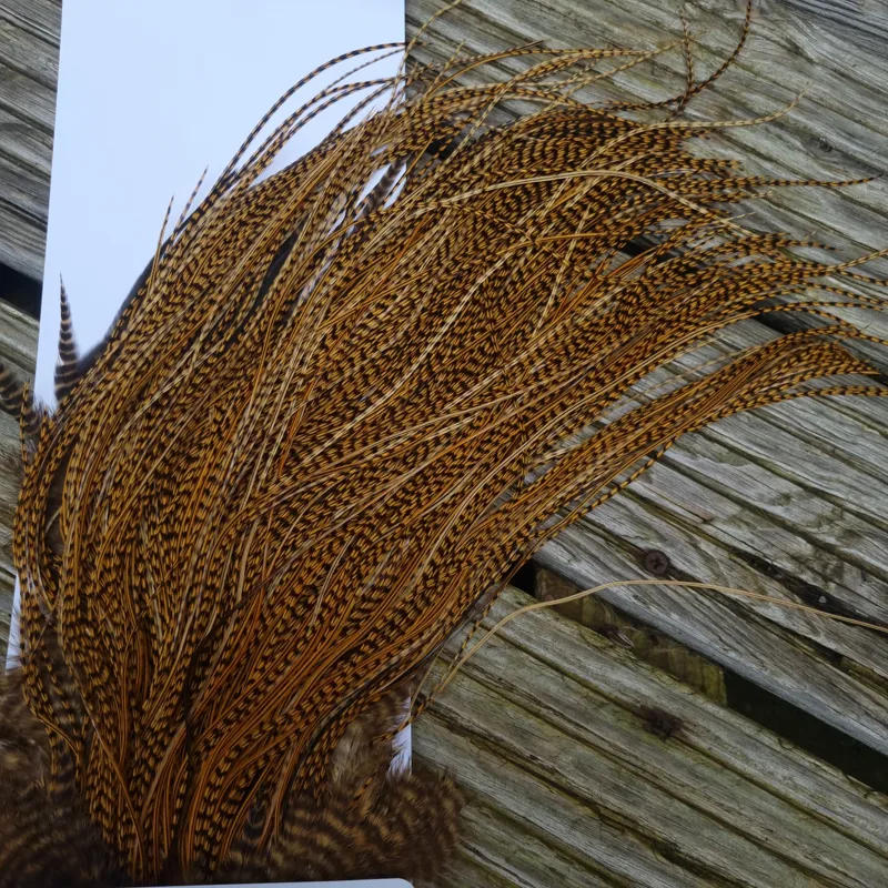 Whiting Pro-Grade Midge Rooster Saddle in Grizzly Dyed March Brown B Grizzly March Brown/Splashed with Badger March Brown Approx Tying Sizes  14 16 18 20 you might find a few smaller-7
