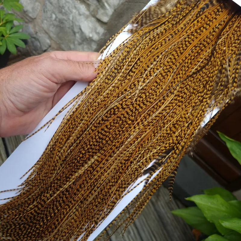 Whiting Pro-Grade Midge Rooster Saddle in Grizzly Dyed March Brown B Grizzly March Brown/Splashed with Badger March Brown Approx Tying Sizes  14 16 18 20 you might find a few smaller-2