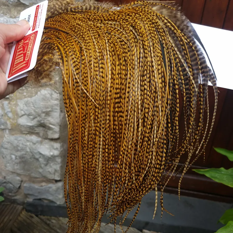 Whiting Pro-Grade Midge Rooster Saddle in Grizzly Dyed March Brown B Grizzly March Brown/Splashed with Badger March Brown Approx Tying Sizes  14 16 18 20 you might find a few smaller
