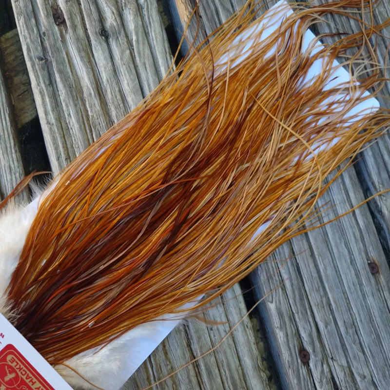 Whiting PRO-GRADE Dry Fly Rooster Saddle in Medium Ginger A Approx Tying Sizes 14/16/18-3