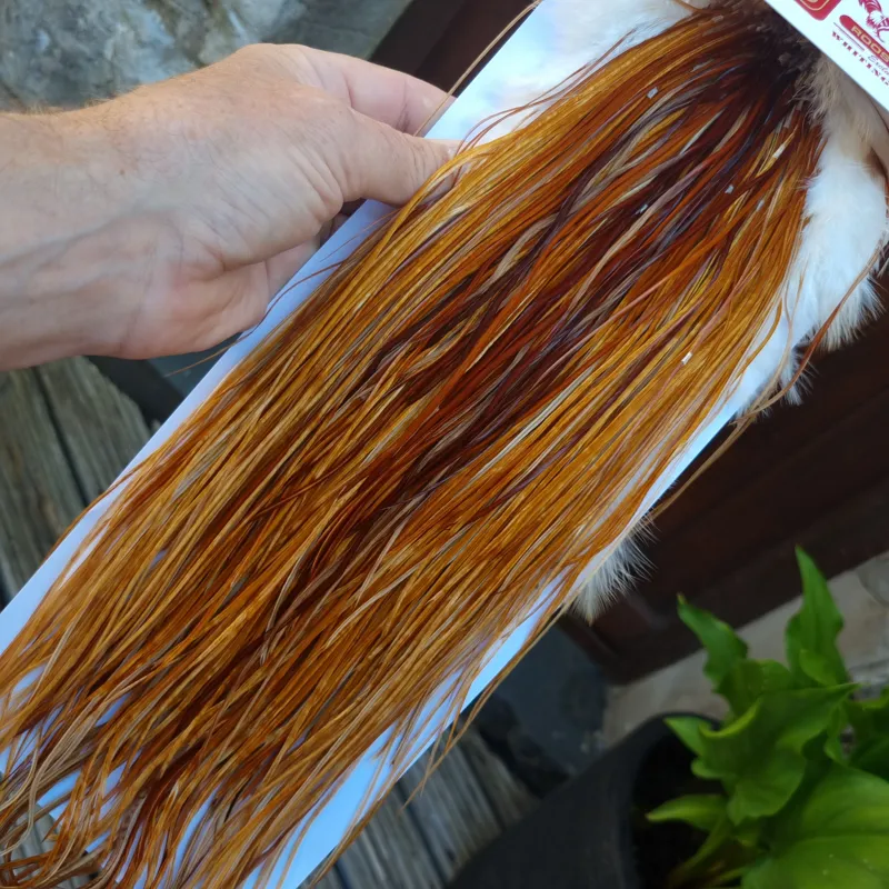 Whiting PRO-GRADE Dry Fly Rooster Saddle in Medium Ginger A Approx Tying Sizes 14/16/18-4