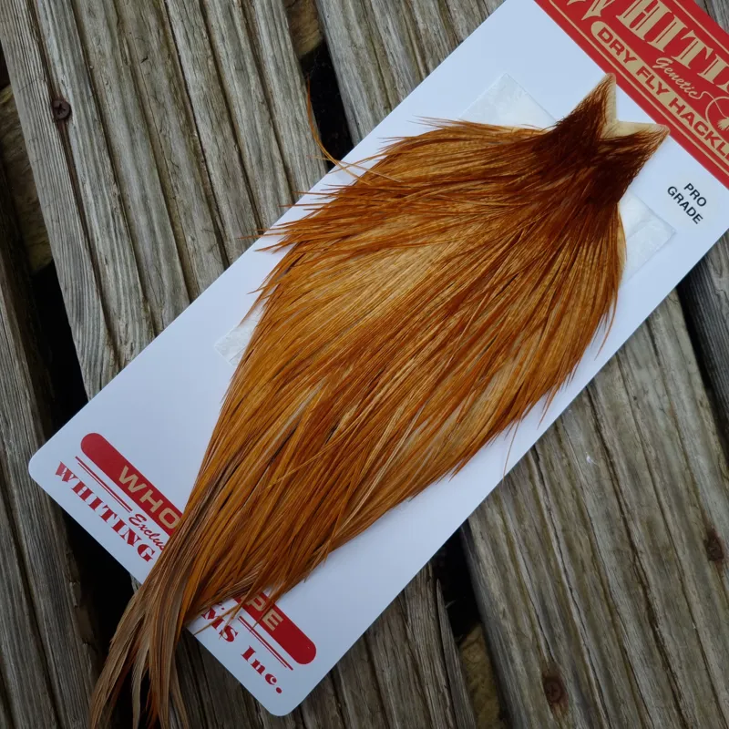 Whiting Pro-Grade Dry Fly Rooster Cape in Medium Ginger B