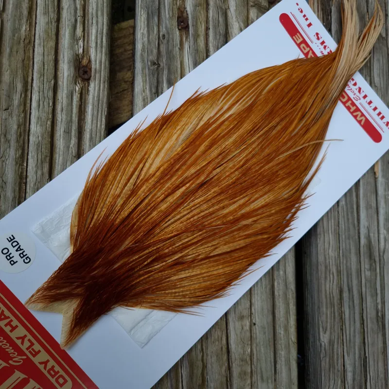 Whiting Pro-Grade Dry Fly Rooster Cape in Medium Ginger B-1