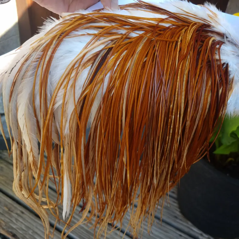 Whiting PRO-GRADE Dry Fly Rooster Saddle in Medium Ginger B Approx Tying sizes 12/14/16/18-3