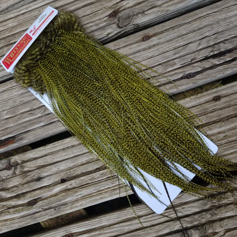 Whiting Pro-Grade Midge Rooster Saddle in Grizzly dyed Olive and Splashed with Badger A Approx. tying sizes  few14 and stuffed with 16 18 20 22 24 26 and out of sight-1