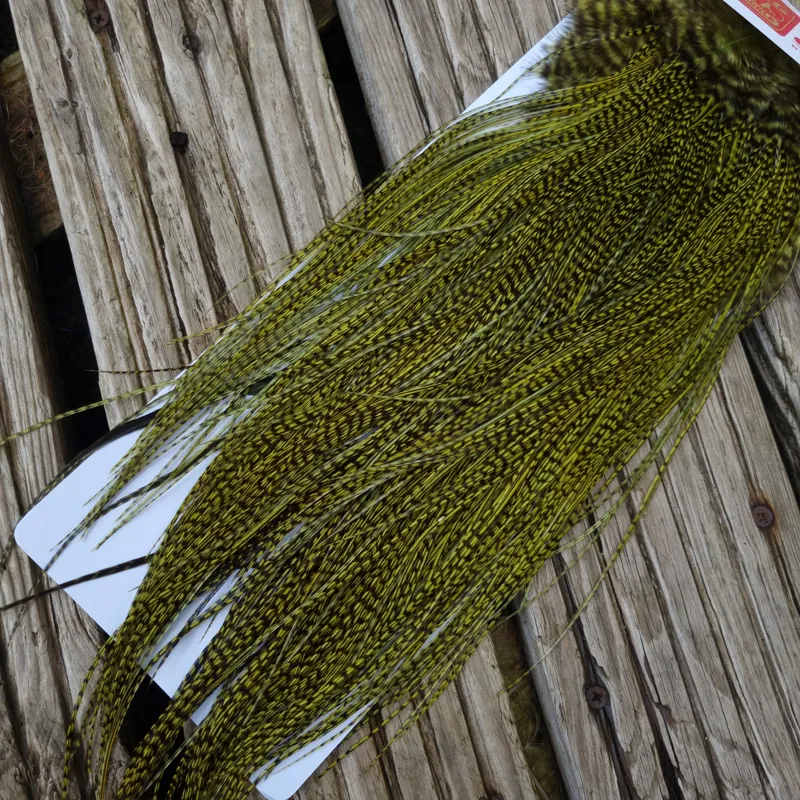 Whiting Pro-Grade Midge Rooster Saddle in Grizzly dyed Olive and Splashed with Badger A Approx. tying sizes  few14 and stuffed with 16 18 20 22 24 26 and out of sight-5