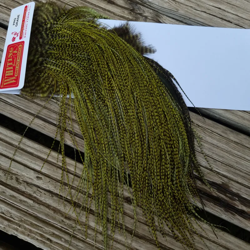 Whiting Pro-Grade Midge Rooster Saddle in Grizzly dyed Olive and Splashed with Badger A Approx. tying sizes  few14 and stuffed with 16 18 20 22 24 26 and out of sight-2