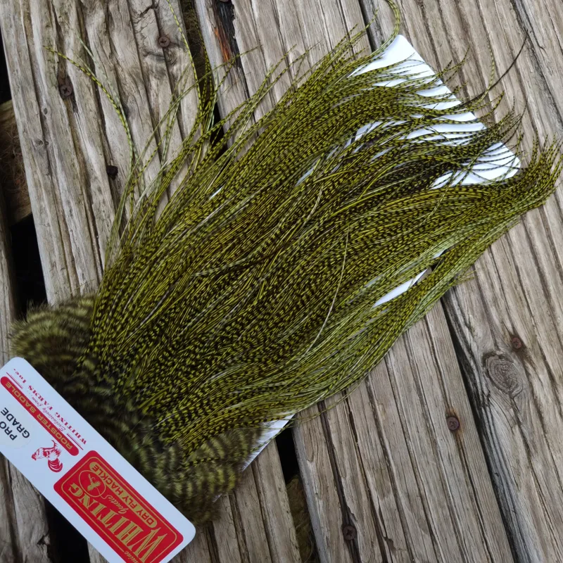 Whiting Pro-Grade Midge Rooster Saddle in Grizzly dyed Olive and Splashed with Badger A Approx. tying sizes  few14 and stuffed with 16 18 20 22 24 26 and out of sight-6