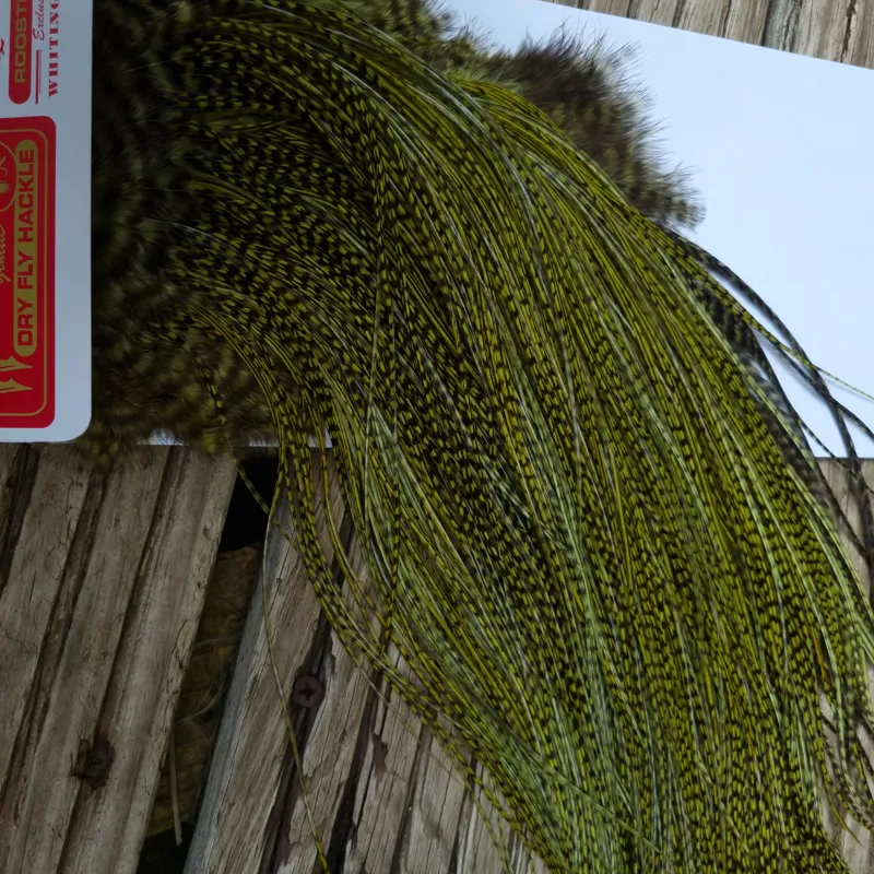 Whiting Pro-Grade Midge Rooster Saddle in Grizzly dyed Olive and Splashed with Badger A Approx. tying sizes  few14 and stuffed with 16 18 20 22 24 26 and out of sight-4