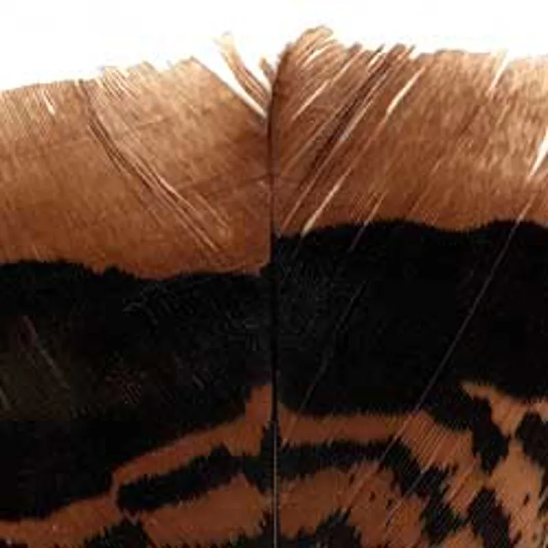 Mottled Turkey Cinnamon Tails