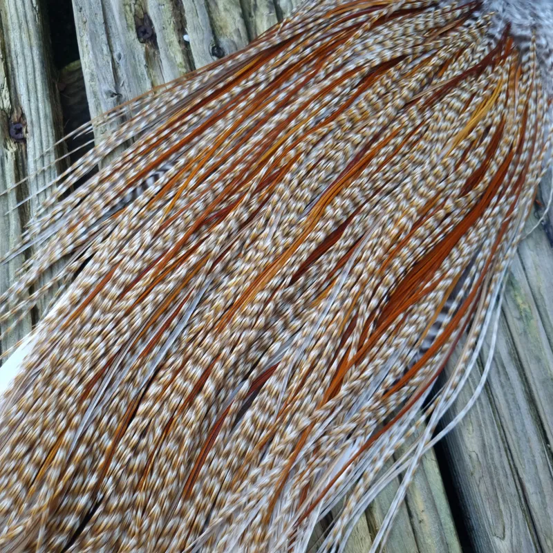 Whiting Heritage Hackles Rooster Saddle in Mixed Colours N DUN CREE and Splashed with Red Game/Rusty Dun Approx .Tying Size 10/12/14 with the odd 16-8