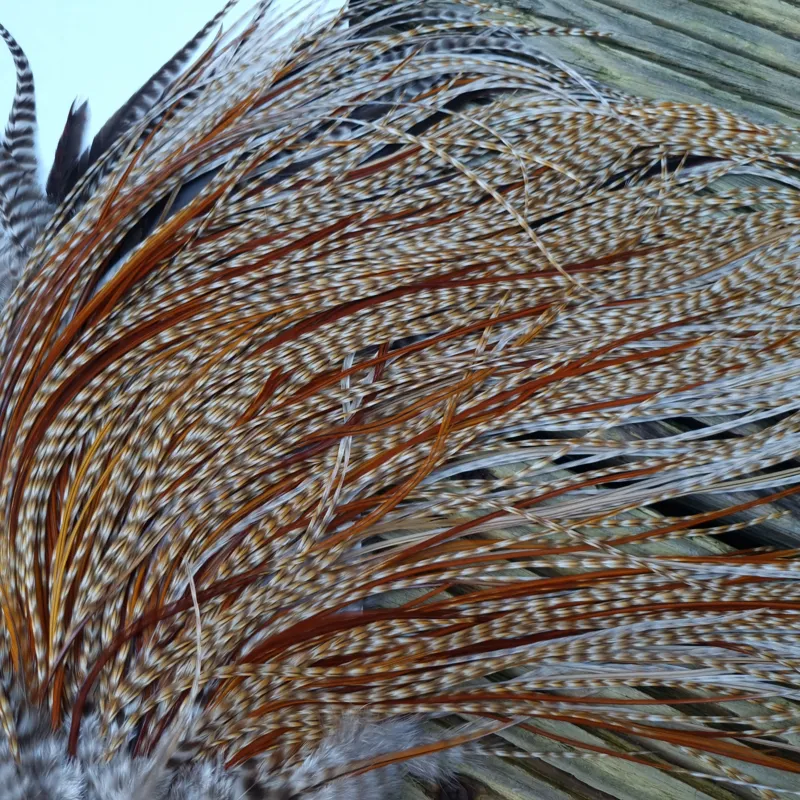 Whiting Heritage Hackles Rooster Saddle in Mixed Colours N DUN CREE and Splashed with Red Game/Rusty Dun Approx .Tying Size 10/12/14 with the odd 16-1