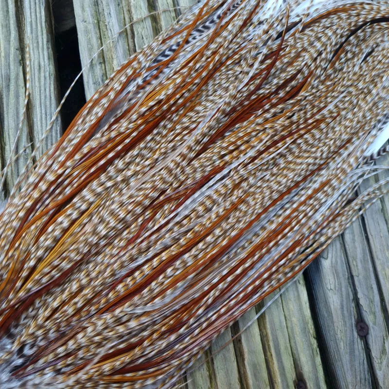 Whiting Heritage Hackles Rooster Saddle in Mixed Colours N DUN CREE and Splashed with Red Game/Rusty Dun Approx .Tying Size 10/12/14 with the odd 16-3