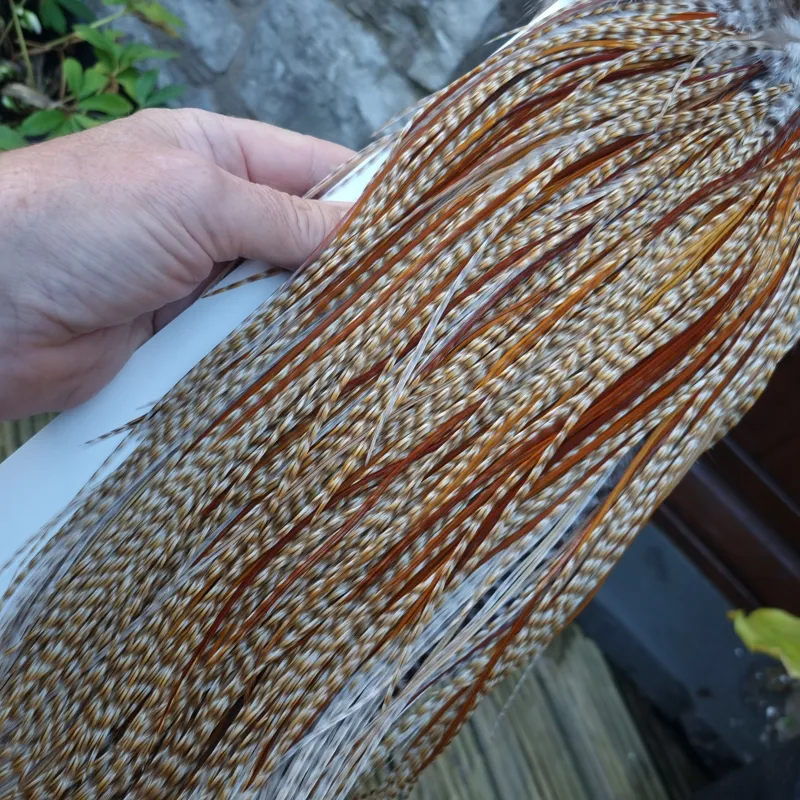 Whiting Heritage Hackles Rooster Saddle in Mixed Colours N DUN CREE and Splashed with Red Game/Rusty Dun Approx .Tying Size 10/12/14 with the odd 16-9