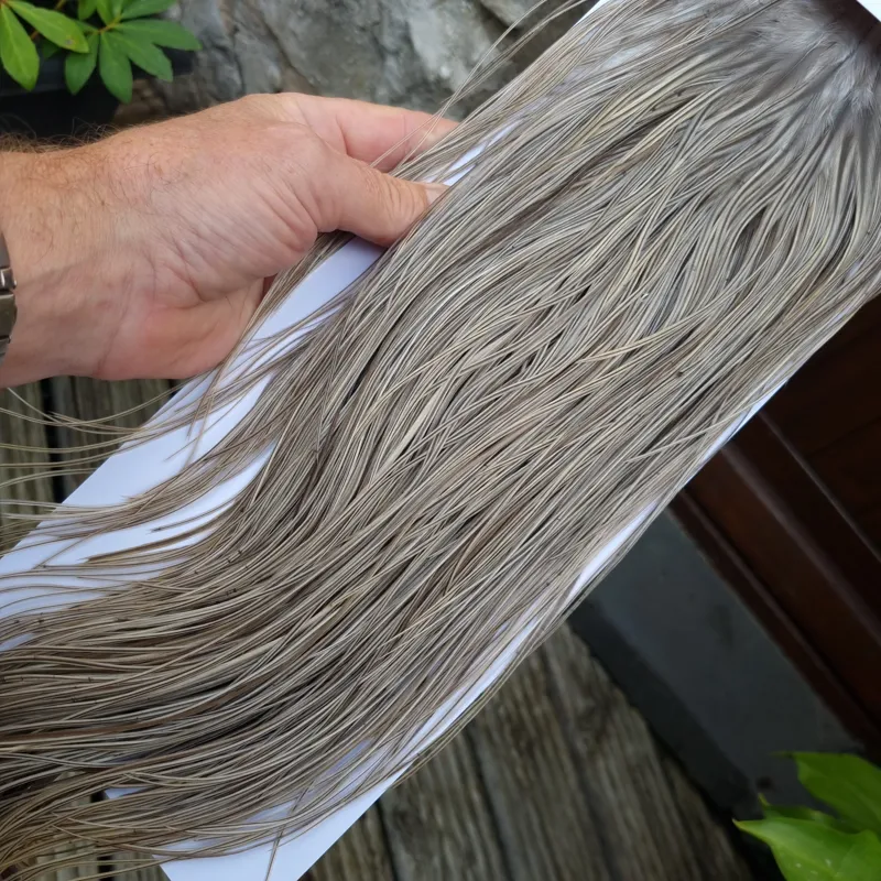 Whiting Pro-Grade Midge Rooster Saddle in Natural Dun/ Natural Medium Blue Dun Badger/Natural Dark Blue Dun Badger C Tying Approx 14/16/18/20/22/24 and out of sight-7