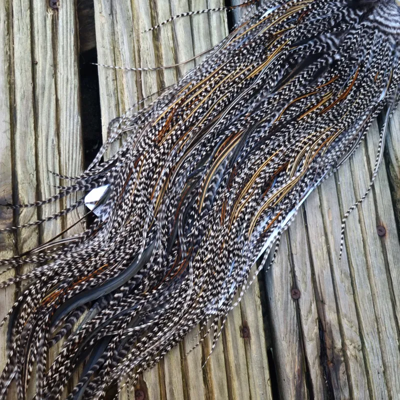 Whiting Heritage Hackles Rooster Saddle in Mixed Colours O Strong Bold GRIZZLY/Speckled Golden Badger/Golden Badger/Greenwell's Approx Tying Size 10/12/14-2