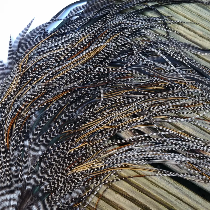 Whiting Heritage Hackles Rooster Saddle in Mixed Colours O Strong Bold GRIZZLY/Speckled Golden Badger/Golden Badger/Greenwell's Approx Tying Size 10/12/14-3