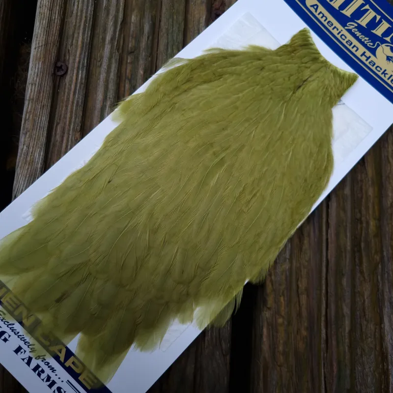 Whiting American Hen Cape in Olive