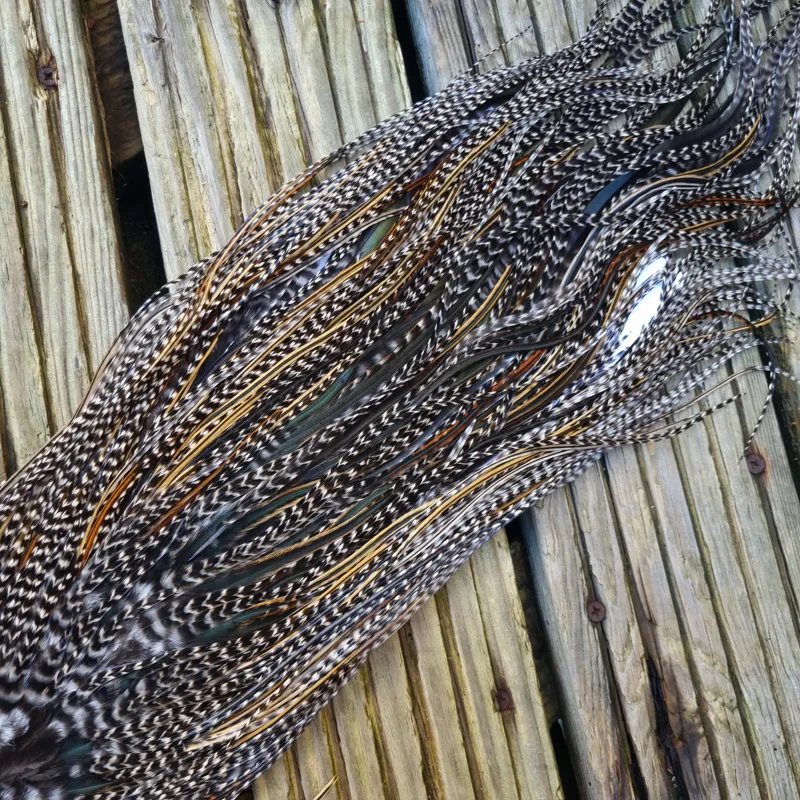 Whiting Heritage Hackles Rooster Saddle in Mixed Colours O Strong Bold GRIZZLY/Speckled Golden Badger/Golden Badger/Greenwell's Approx Tying Size 10/12/14-4