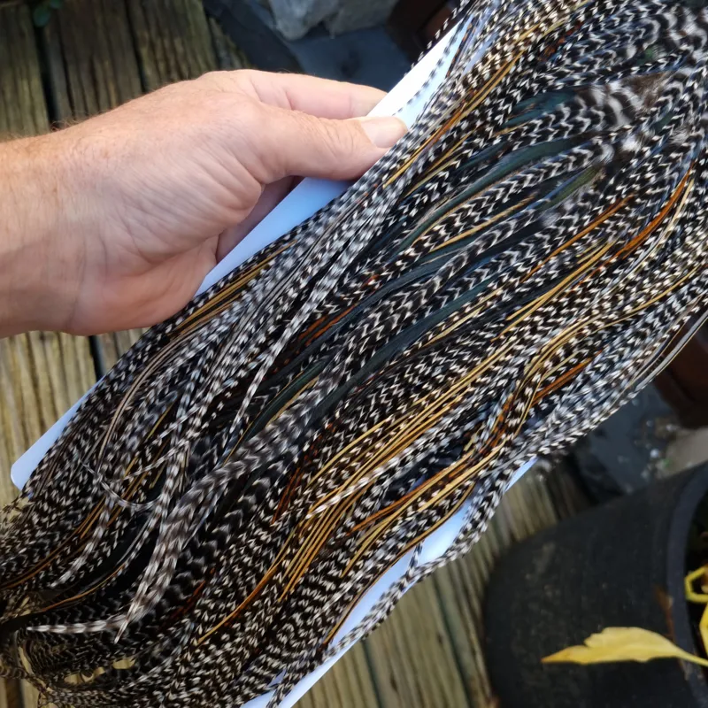 Whiting Heritage Hackles Rooster Saddle in Mixed Colours O Strong Bold GRIZZLY/Speckled Golden Badger/Golden Badger/Greenwell's Approx Tying Size 10/12/14-5
