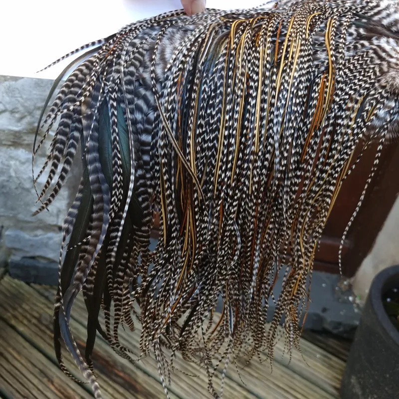 Whiting Heritage Hackles Rooster Saddle in Mixed Colours O Strong Bold GRIZZLY/Speckled Golden Badger/Golden Badger/Greenwell's Approx Tying Size 10/12/14