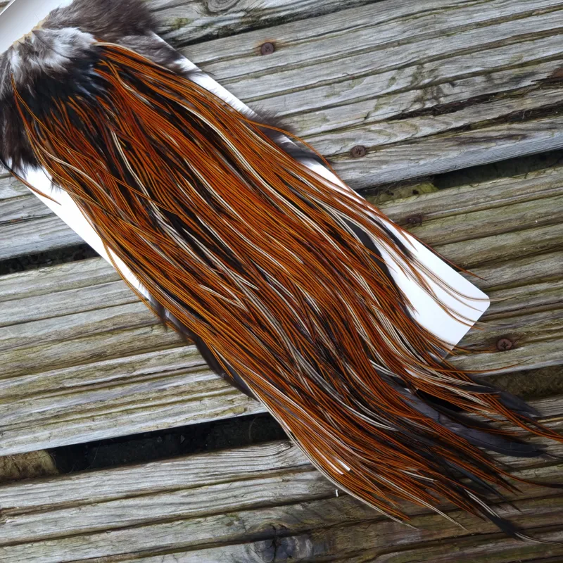 Whiting Heritage Hackles Rooster Saddle in Mixed Colours O Furnace Approx Tying Size 10/12/14-4