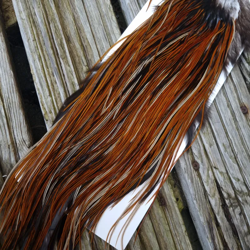 Whiting Heritage Hackles Rooster Saddle in Mixed Colours O Furnace Approx Tying Size 10/12/14-5