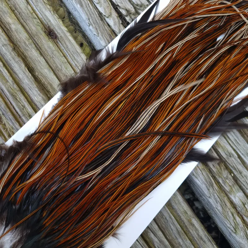 Whiting Heritage Hackles Rooster Saddle in Mixed Colours O Furnace Approx Tying Size 10/12/14-7