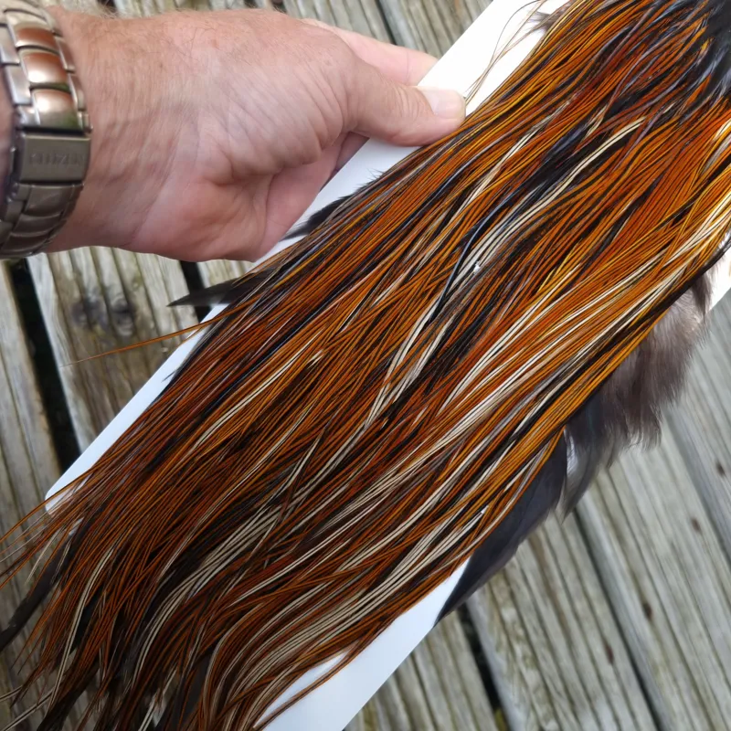 Whiting Heritage Hackles Rooster Saddle in Mixed Colours O Furnace Approx Tying Size 10/12/14-9