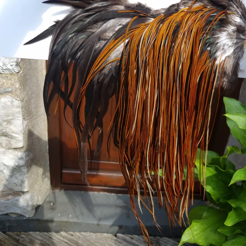 Whiting Heritage Hackles Rooster Saddle in Mixed Colours O Furnace Approx Tying Size 10/12/14-1