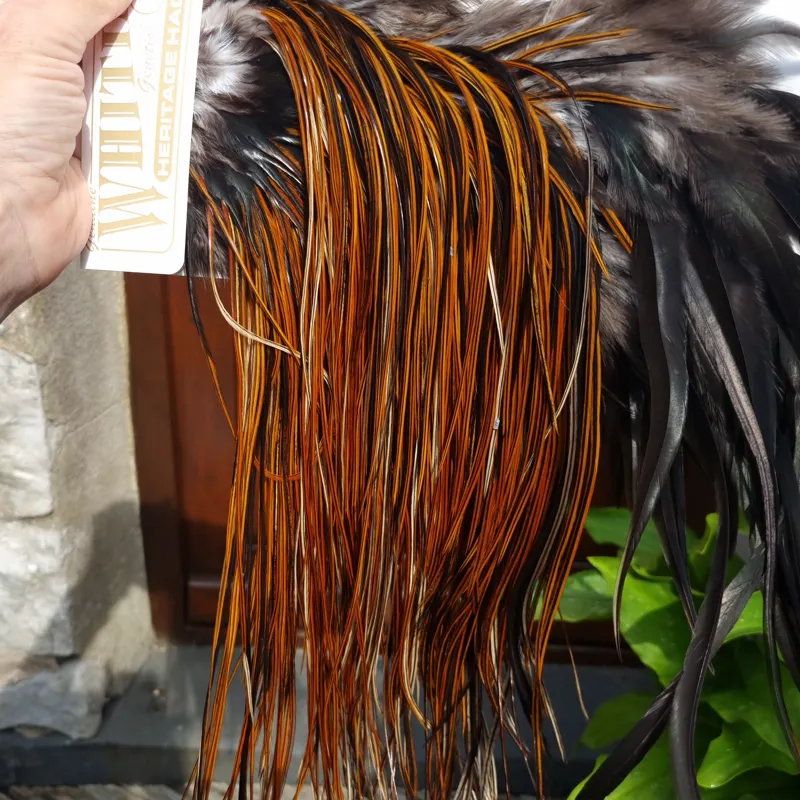 Whiting Heritage Hackles Rooster Saddle in Mixed Colours O Furnace Approx Tying Size 10/12/14