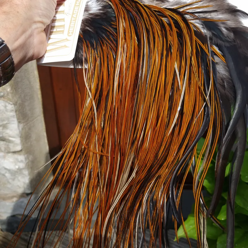 Whiting Heritage Hackles Rooster Saddle in Mixed Colours O Furnace Approx Tying Size 10/12/14-3