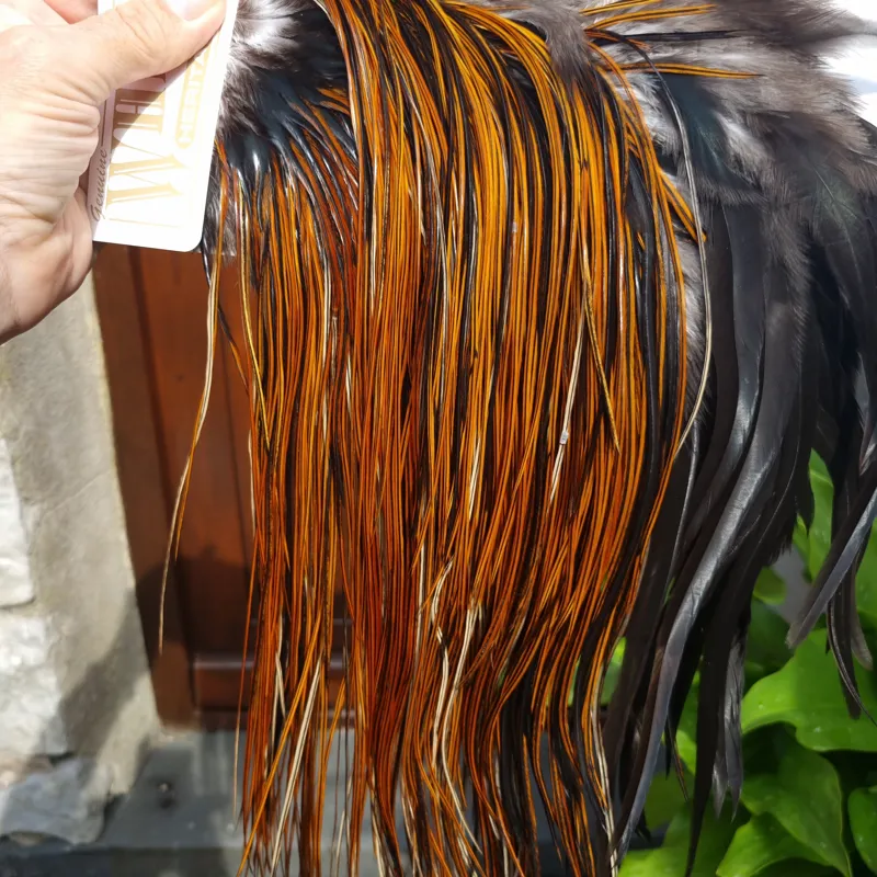 Whiting Heritage Hackles Rooster Saddle in Mixed Colours O Furnace Approx Tying Size 10/12/14-8