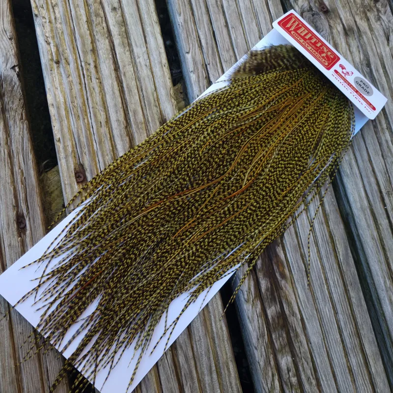 Whiting Pro-Grade Midge Rooster Saddle in Grizzly dyed Olive and Splashed with OLIVE Badger A Approx. tying sizes  16 18 20 22 24 and out of sight-2