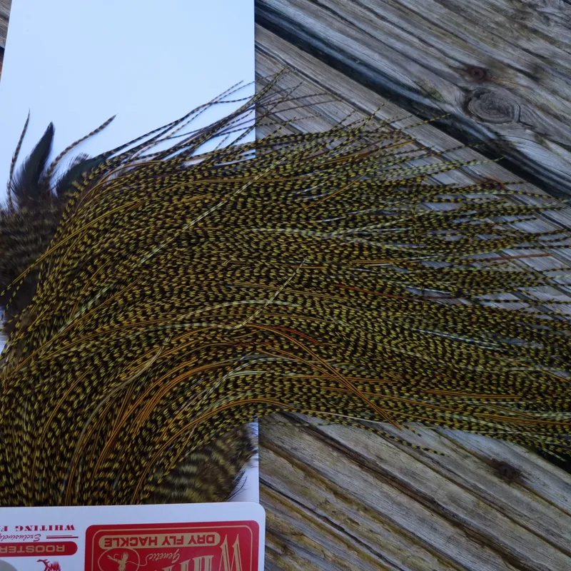 Whiting Pro-Grade Midge Rooster Saddle in Grizzly dyed Olive and Splashed with OLIVE Badger A Approx. tying sizes  16 18 20 22 24 and out of sight-3