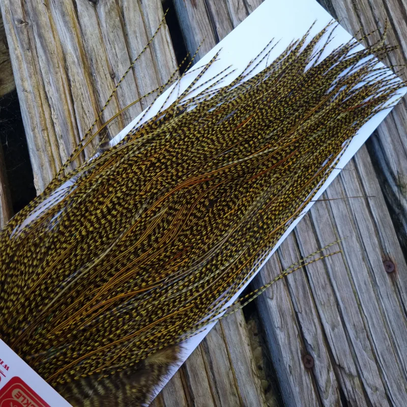 Whiting Pro-Grade Midge Rooster Saddle in Grizzly dyed Olive and Splashed with OLIVE Badger A Approx. tying sizes  16 18 20 22 24 and out of sight-5