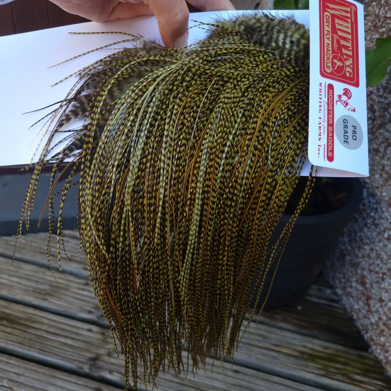 Whiting Pro-Grade Midge Rooster Saddle in Grizzly dyed Olive and Splashed with OLIVE Badger A Approx. tying sizes  16 18 20 22 24 and out of sight-1