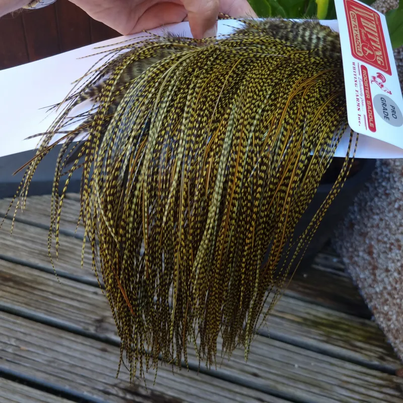 Whiting Pro-Grade Midge Rooster Saddle in Grizzly dyed Olive and Splashed with OLIVE Badger A Approx. tying sizes  16 18 20 22 24 and out of sight-4