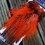 Whiting American Rooster Saddle in Silver Badger Dyed Orange