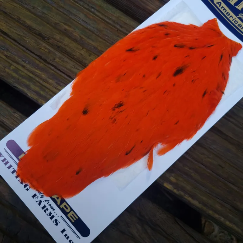 Whiting American Hen Cape in Orange