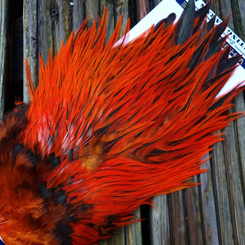 Whiting American Rooster Saddle in Silver Badger Dyed Orange-1