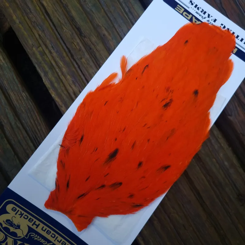 Whiting American Hen Cape in Orange-1