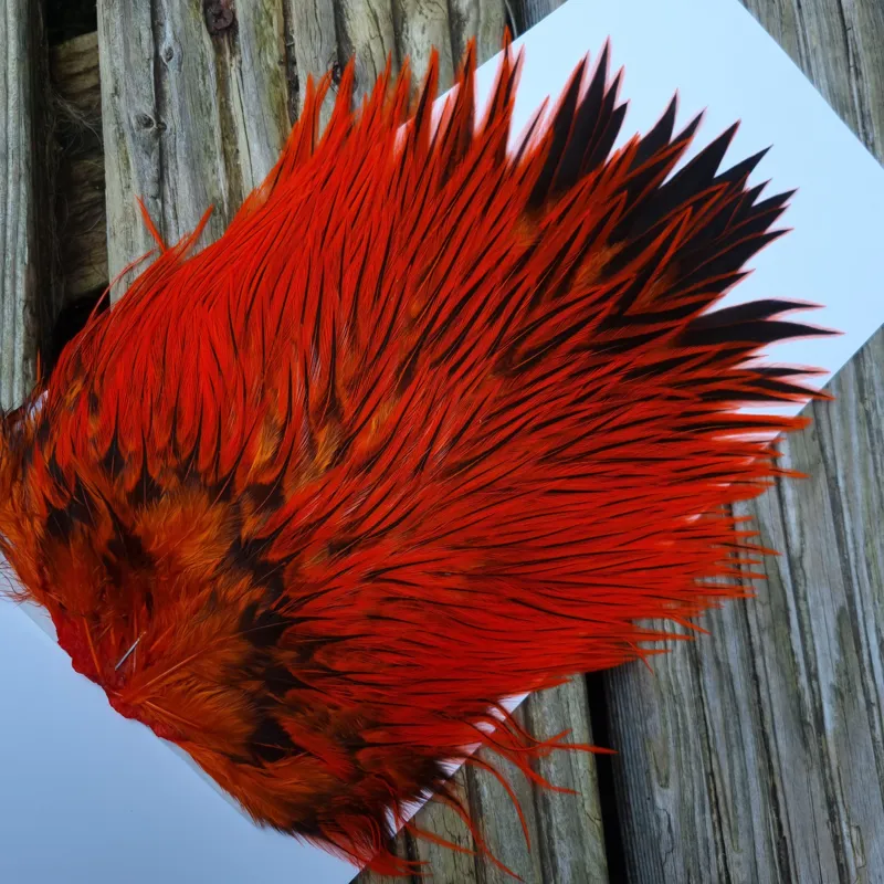 Whiting Brahma Rooster Saddle in Silver Badger Dyed Orange-4