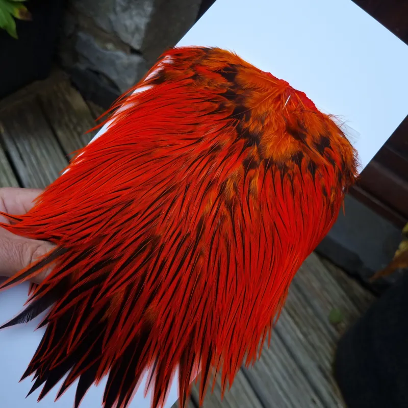 Whiting Brahma Rooster Saddle in Silver Badger Dyed Orange-5