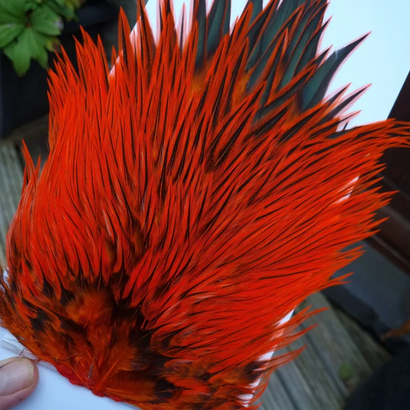 Whiting Brahma Rooster Saddle in Silver Badger Dyed Orange