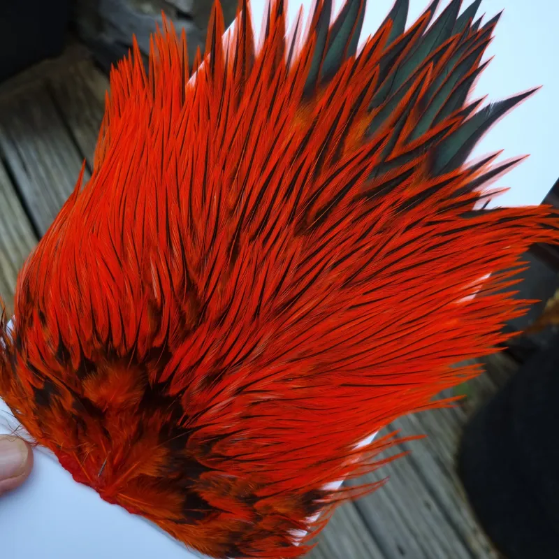 Whiting Brahma Rooster Saddle in Silver Badger Dyed Orange-2