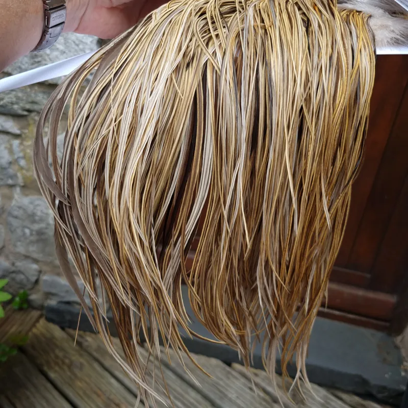 Whiting Heritage Hackles Rooster Saddle in Mixed Colours P Light/ Medium/Dark Champagne Badger/Speckled Champagne Badger Splashed with Natural Dun  Approx Tying Size 12/14/16-9
